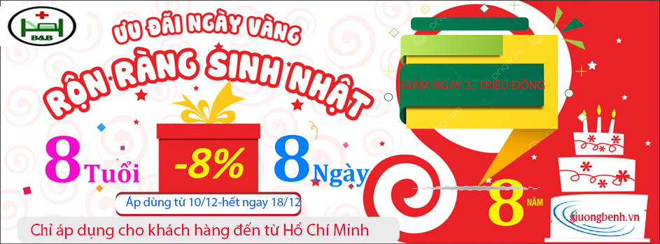 Giường y tế ICHIGO- Giường Bệnh ICHIGO