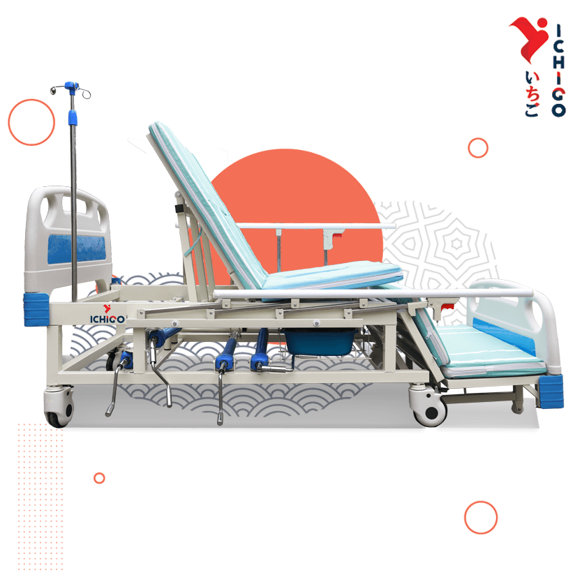 Giường Y Tế Đa Chức Năng Ichigo IG-HB04