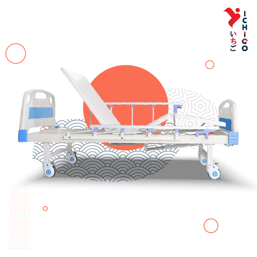 Giường Y Tế 2 Chức Năng cao cấp IG-HB02S