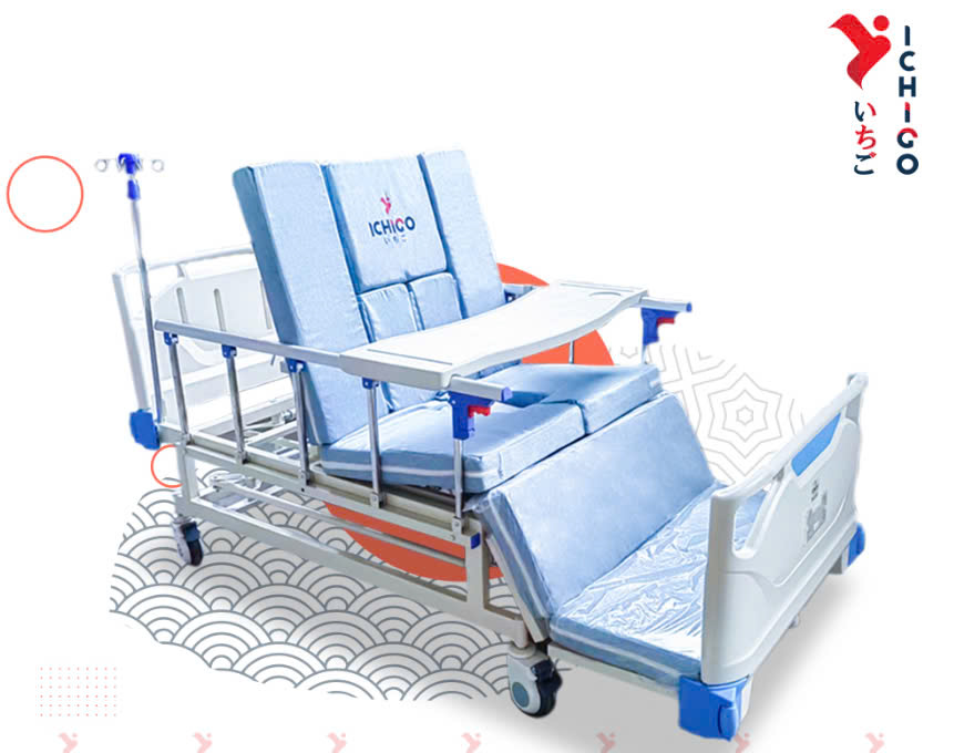 Giường Y Tế Điện Đa Chức Năng Cao Cấp Ichigo–HB04E