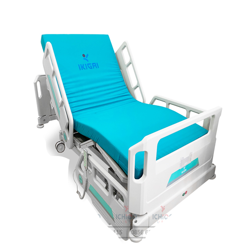  Giường bệnh ICU Ikigai GH-D02-2